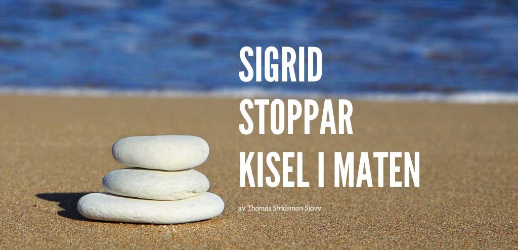 Stenar på en strand