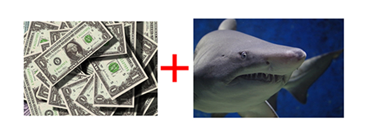 Två bilder bredvid varandra, en på dollar och en på en haj